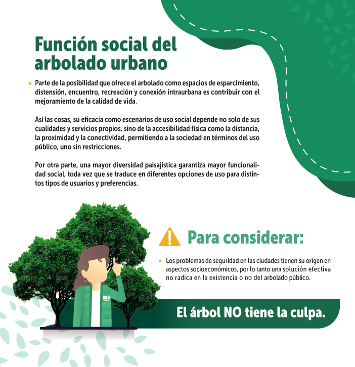 Arboladoyseguridadsocial2