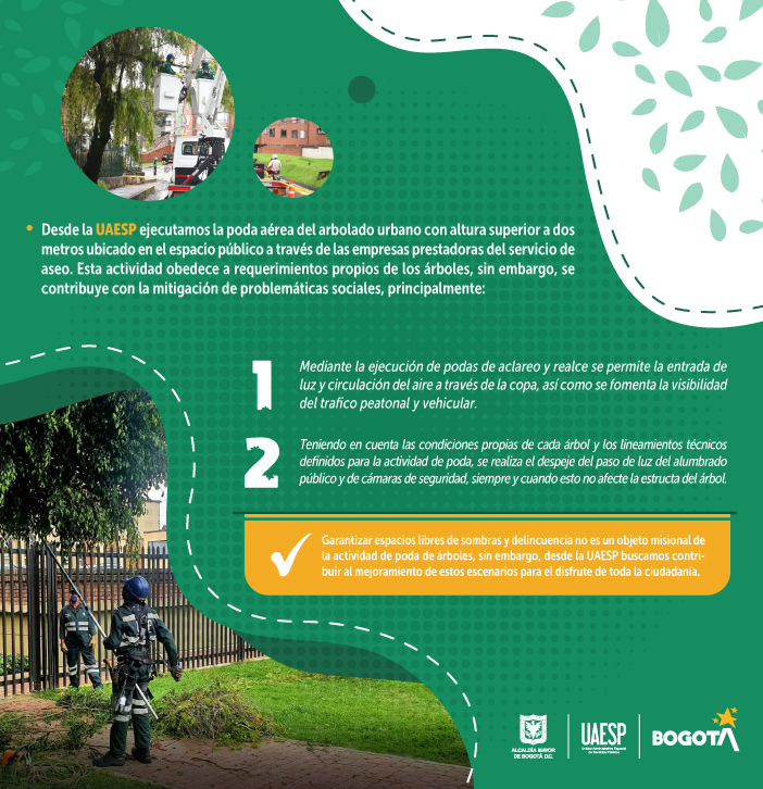 Arboladoyseguridadsocial3